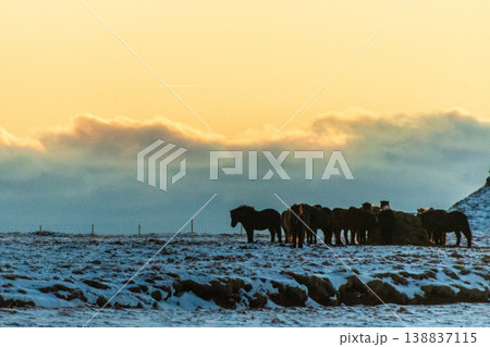 Golden hour along iceland's south coast Golden hour along iceland's south coast 138837115