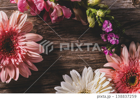 Colorful Gerbera Daisies on Rustic Wood Background. Gerbera Flowers on Wooden Surface. 138837259