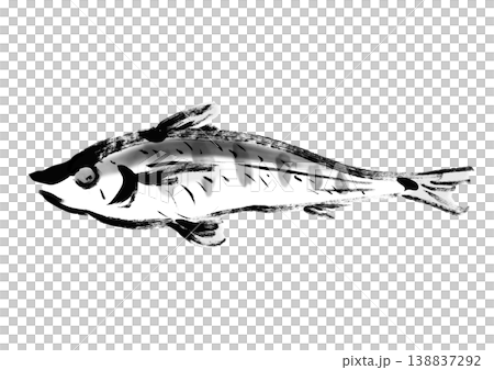 日式筆觸風格的魚形插畫 *Mehikari*。 138837292