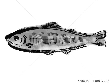 イワナの筆書き和風イラスト素材 138837293