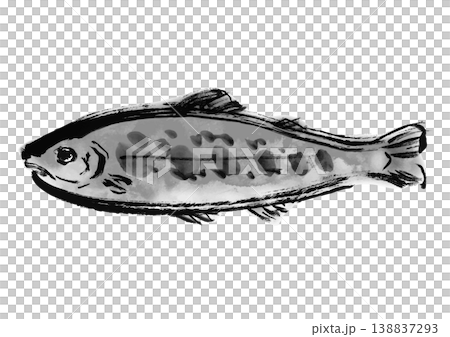 イワナの筆書き和風イラスト素材 138837293