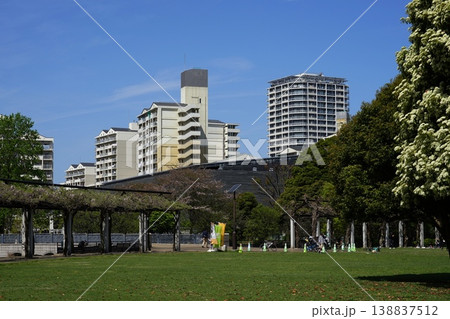 新緑が美しい公園 4月西国分寺38東京都立武蔵国分寺公園 新緑が美しい公園 4月西国分寺38東京都立武蔵国分寺公園 138837512