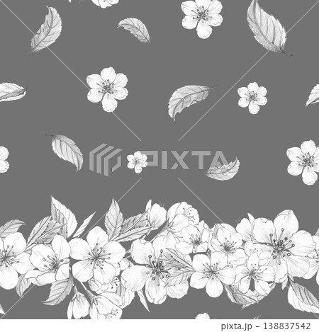 Seamless border pattern of hand-drawn pencil sketches of cherry blossoms and leaves on dark gray background, for elegant wedding stationery and header designs, interior wallpaper, fabric print 138837542