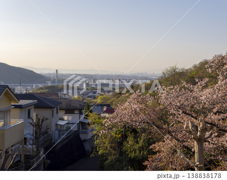 新興住宅地に咲く桜と街の風景 新興住宅地に咲く桜と街の風景 138838178