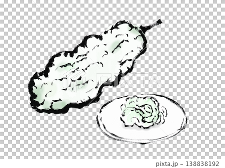 白ゴーヤの筆手書き和風イラスト素材 138838192