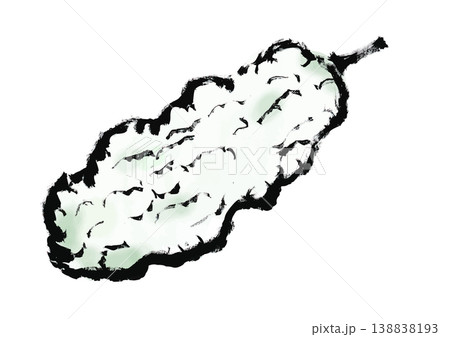 白ゴーヤの筆手書き和風イラスト素材 138838193