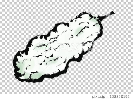 白ゴーヤの筆手書き和風イラスト素材 138838193