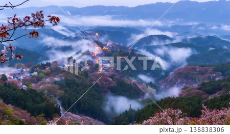 幻想の霧景色 吉野千本桜 幻想の霧景色 吉野千本桜 138838306