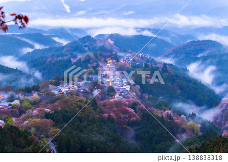 幻想の霧景色 吉野千本桜 幻想の霧景色 吉野千本桜 138838318