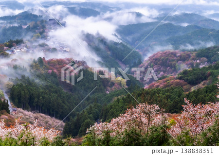 幻想の霧景色 吉野千本桜 幻想の霧景色 吉野千本桜 138838351