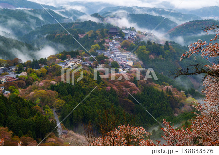 幻想の霧景色 吉野千本桜 幻想の霧景色 吉野千本桜 138838376