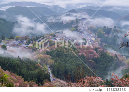 幻想の霧景色 吉野千本桜 幻想の霧景色 吉野千本桜 138838388
