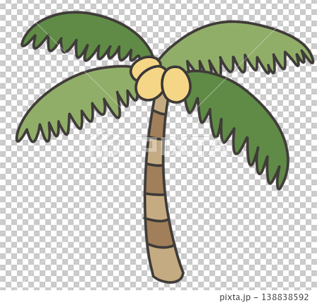 Palm tree 138838592