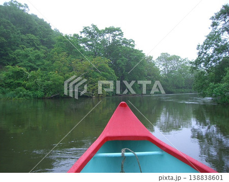 緑に囲まれた川を進むカヌー 自然豊かな水辺の風景 138838601