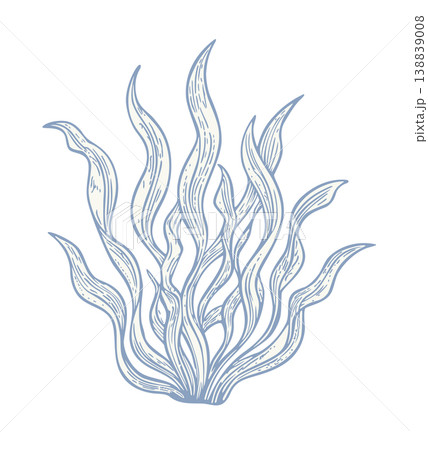 Algae. Seaweed. Vector hand-drawn illustration. Blue isolated on white background 138839008