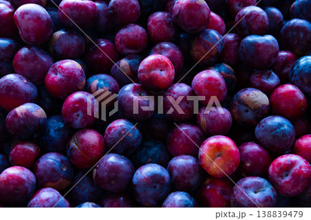 Fresh tasty plums, harvest from garden 138839479