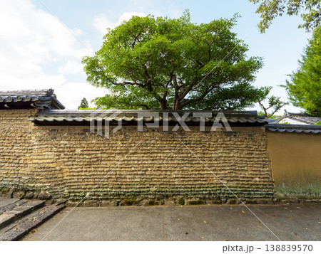 東大寺二月堂裏参道の土塀と樹木 東大寺二月堂裏参道の土塀と樹木 138839570