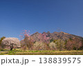 阿蘇の根子岳と上色見の大桜 138839575