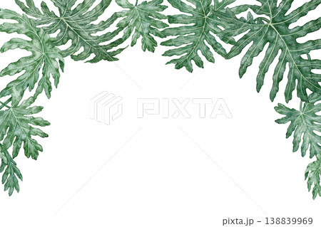 Tropical leaves rectangular frame Philodendron Selloum watercolor botanical illustration. Hand drawn green foliage texture with copy space. Floral nature design for garden card decorative template. Tropical leaves rectangular frame Philodendron Selloum watercolor botanical illustration. Hand drawn green foliage texture with copy space. Floral nature design for garden card decorative template. 138839969
