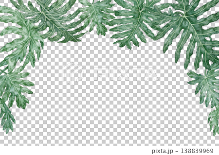 Tropical leaves rectangular frame Philodendron Selloum watercolor botanical illustration. Hand drawn green foliage texture with copy space. Floral nature design for garden card decorative template. 138839969
