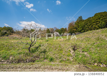 大津市仰木の棚田風景 滋賀県 大津市仰木の棚田風景 滋賀県 138840052