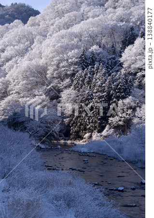 新雪の朝 川沿いの山里風景雪景色 木々に積もった新雪と川 新雪の朝 川沿いの山里風景雪景色 木々に積もった新雪と川 138840177