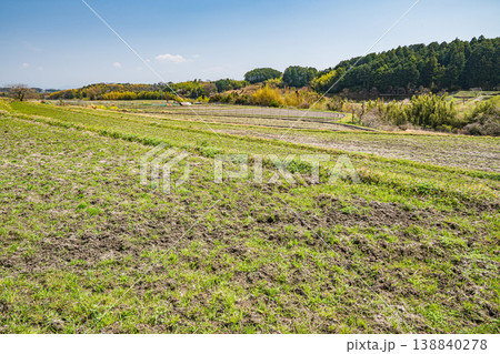 大津市仰木の棚田風景　滋賀県 138840278
