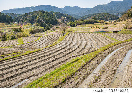 大津市仰木の棚田風景　滋賀県 138840281