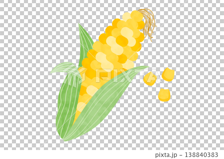Hand-drawn style vector illustration of corn Hand-drawn style vector illustration of corn 138840383