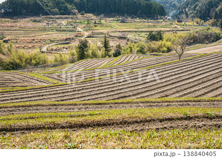 大津市仰木の棚田風景　滋賀県 138840405