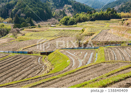 大津市仰木の棚田風景 滋賀県 大津市仰木の棚田風景 滋賀県 138840409