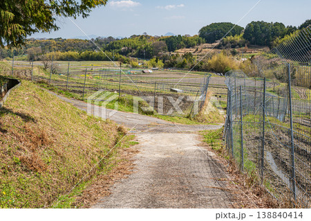 大津市仰木の棚田風景　滋賀県 138840414