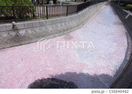 桜の花びらでいっぱいの川、春の運河、サクラの花筏 桜の花びらでいっぱいの川、春の運河、サクラの花筏 138840482