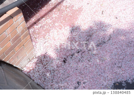 桜の花びらでいっぱいの川、春の運河、サクラの花筏 桜の花びらでいっぱいの川、春の運河、サクラの花筏 138840485