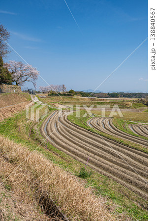 大津市仰木の棚田風景 滋賀県 大津市仰木の棚田風景 滋賀県 138840567