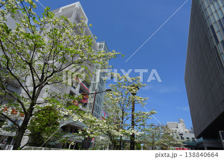 二子玉川駅前風景 二子玉川駅前風景 138840664