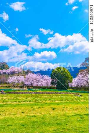 石舞台古墳の桜と芝生広場 石舞台古墳の桜と芝生広場 138840971
