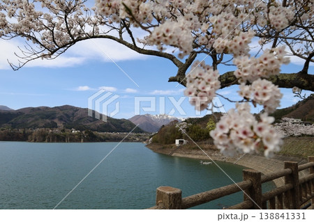 早春の谷川岳を望む湖と桜のある風景 早春の谷川岳を望む湖と桜のある風景 138841331