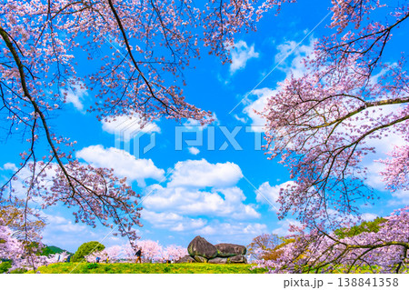 石舞台古墳の桜 138841358