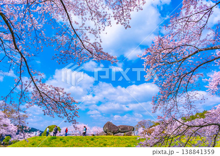 石舞台古墳の桜 138841359