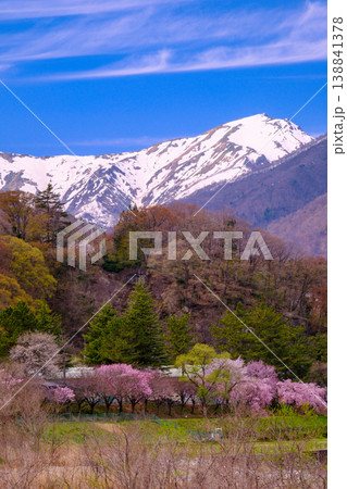 残雪の残る谷川岳と満開の桜(縦) 残雪の残る谷川岳と満開の桜(縦) 138841378