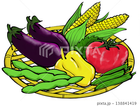 初夏野菜素材 初夏野菜素材 138841419