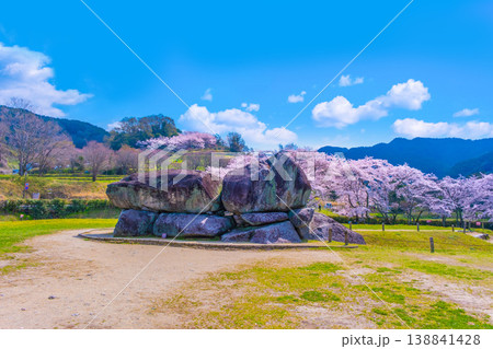 石舞台古墳の巨石と桜 石舞台古墳の巨石と桜 138841428