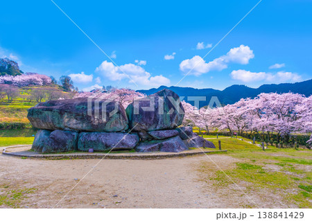 石舞台古墳の巨石と桜 138841429