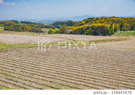 大津市仰木の棚田風景 滋賀県 大津市仰木の棚田風景 滋賀県 138841678