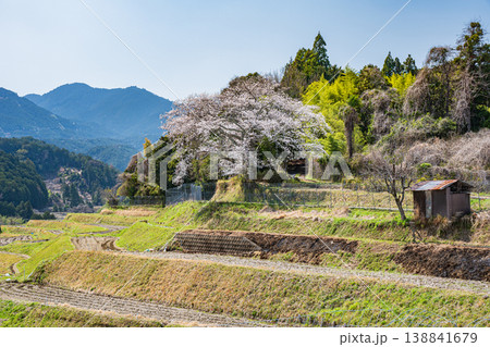 大津市仰木の棚田風景　滋賀県 138841679