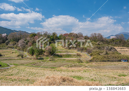 大津市仰木の棚田風景 滋賀県 大津市仰木の棚田風景 滋賀県 138841683