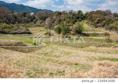 大津市仰木の棚田風景 滋賀県 大津市仰木の棚田風景 滋賀県 138841686