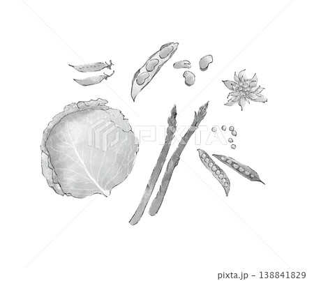 水彩で描いた緑色の春野菜のイラスト 138841829