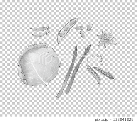 水彩で描いた緑色の春野菜のイラスト 138841829